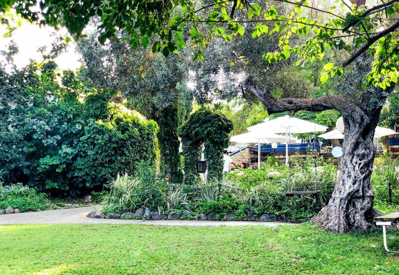 Travel Hotel Gesher Haziv Εξωτερικό φωτογραφία